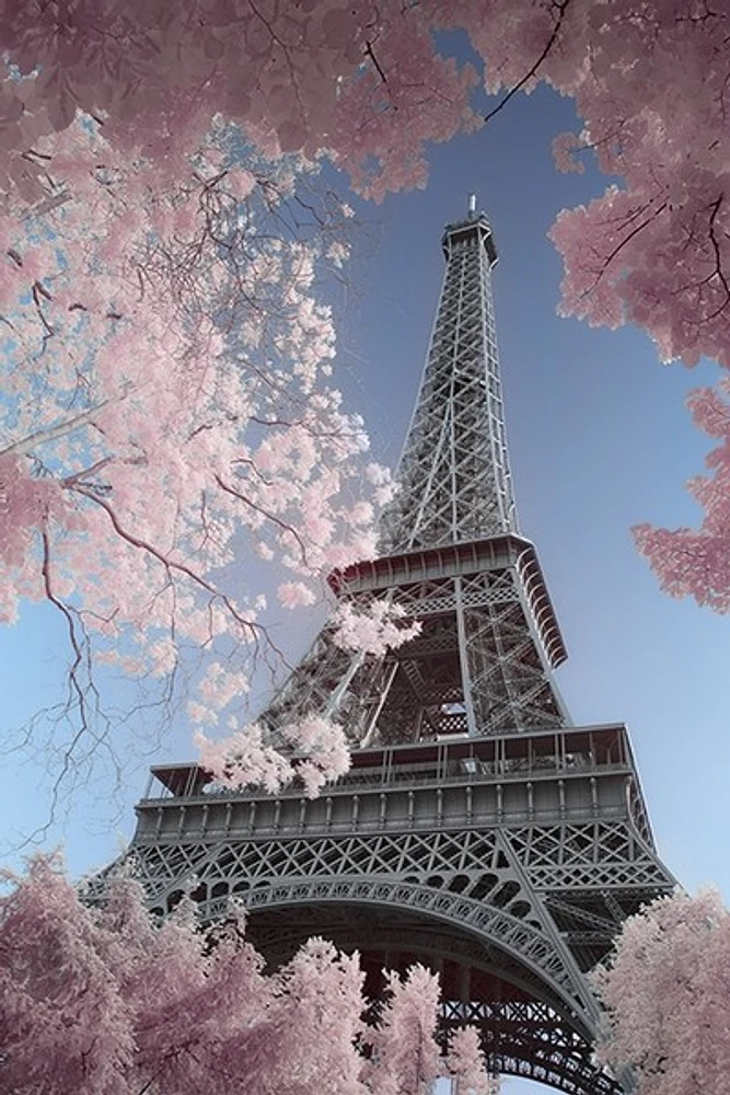 Paris - Infrared Eiffel-Tower  