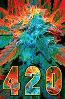 420