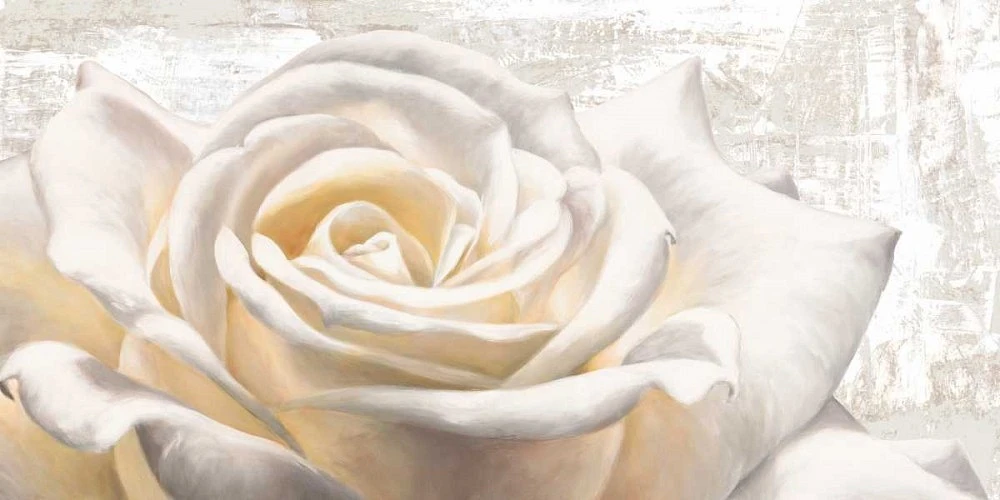 Jenny Thomlinson - White on