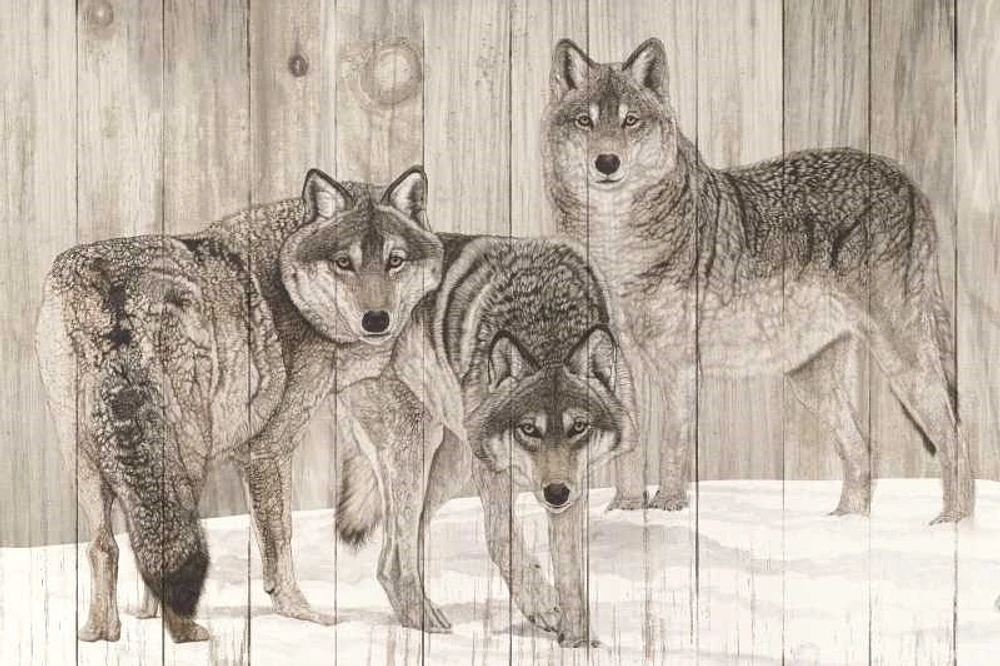 Jacquie Vaux - Three Grey Wolves On Wood