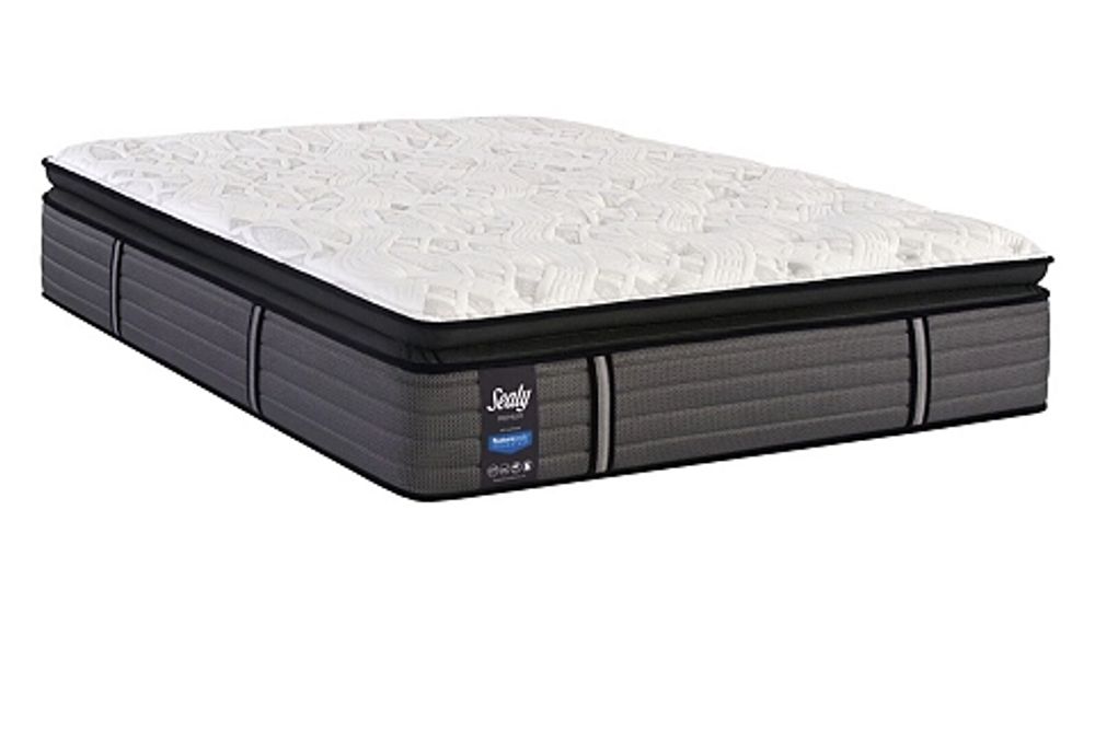 arbor heights plush euro pillowtop mattress