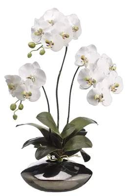 Moth Orchid Floral in Metallic Bowl