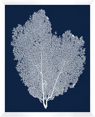 Marine Sea Fan Framed Art