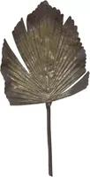 Landrum Palm Leaf