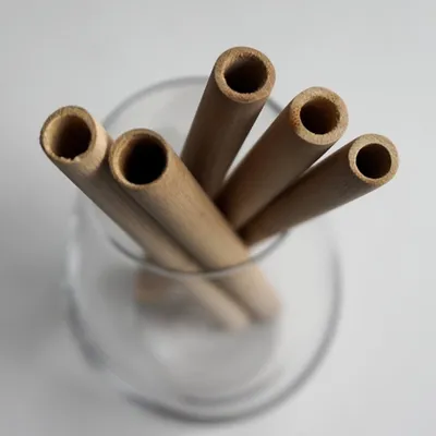 Raw Nutritional Bamboo Straw 5 pack