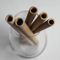 Raw Nutritional Bamboo Straw 5 pack