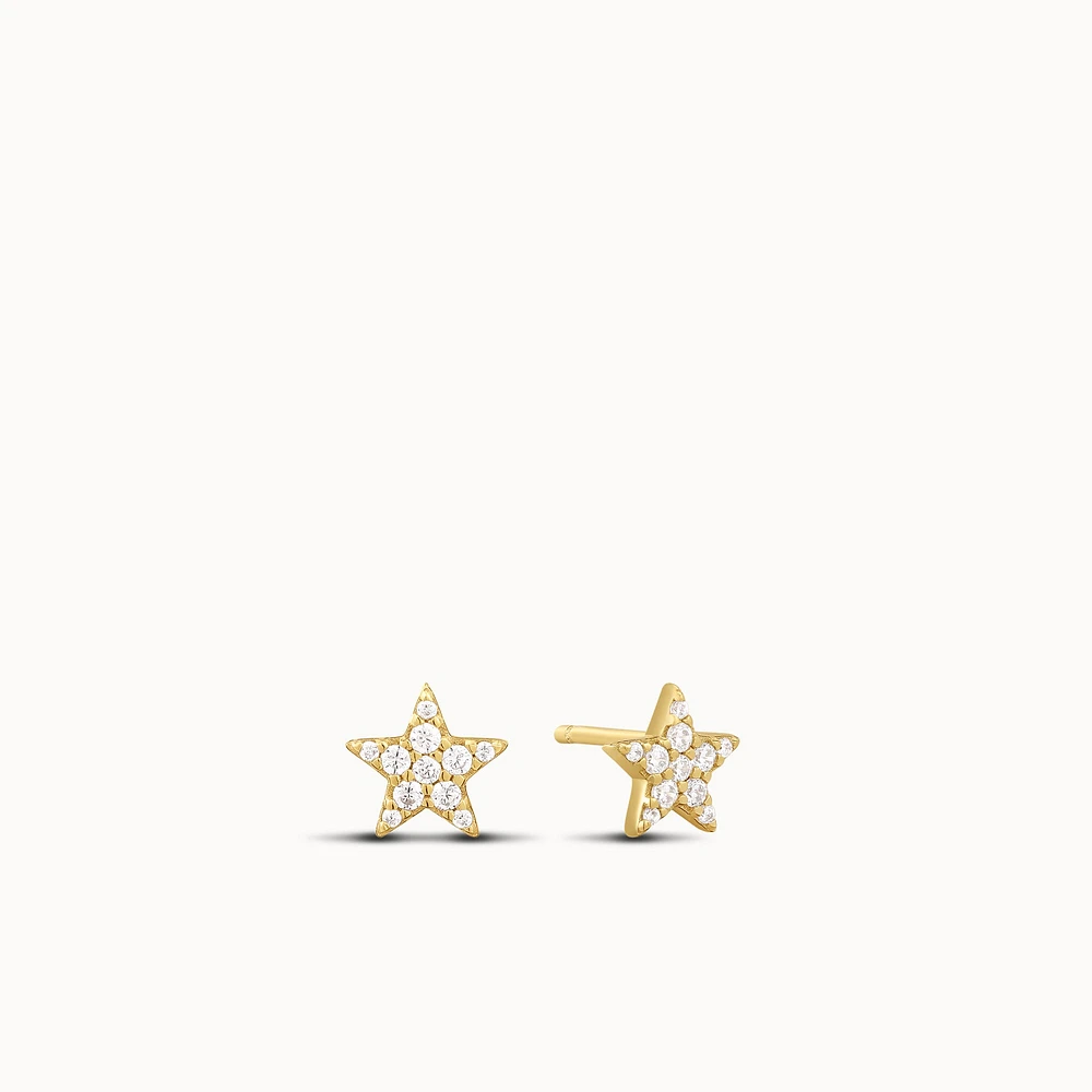 Star Micro Pavé Studs Hypoallergenic Earrings | Rowan