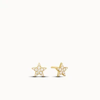 Star Micro Pavé Studs Hypoallergenic Earrings | Rowan