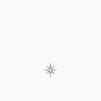 14k Flat Back Starburst Diamond Stud Hypoallergenic Earrings | Rowan