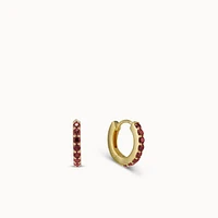 January Birthstone Hoops Hypoallergenic Earrings | Rowan