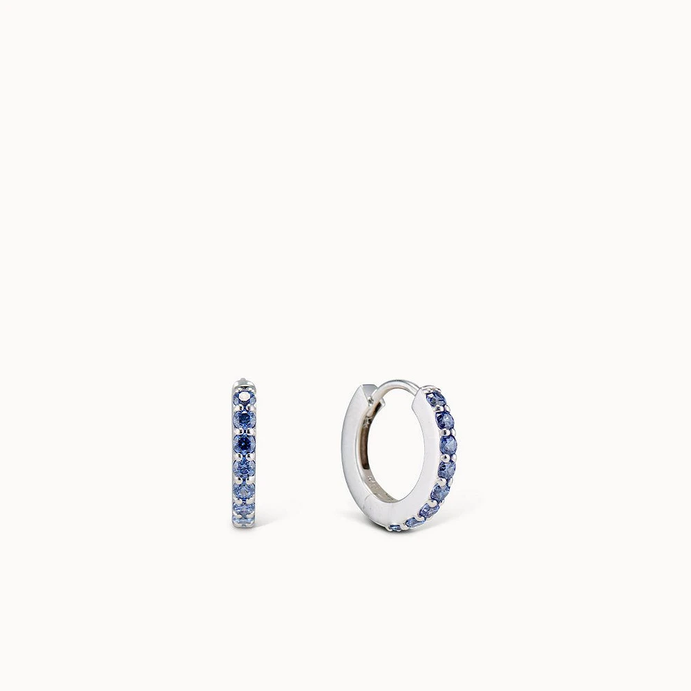 December Birthstone Hoops Hypoallergenic Earrings | Rowan