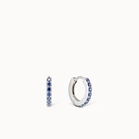 December Birthstone Hoops Hypoallergenic Earrings | Rowan