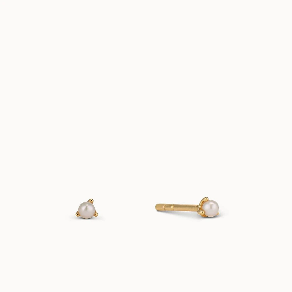 Pearl Timeless Studs