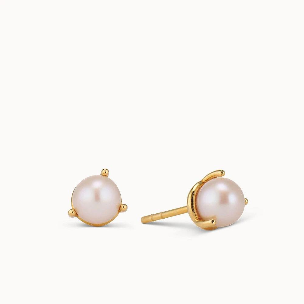 Pearl Timeless Studs