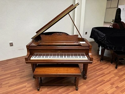 Steinway & Sons Model M (Louis XVI)