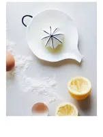 Fine Bone China Juicer