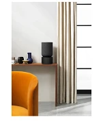 Beosound Balance Wireless Speaker With Google Assistant