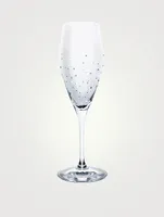 Champagne Glasses Set Of 2