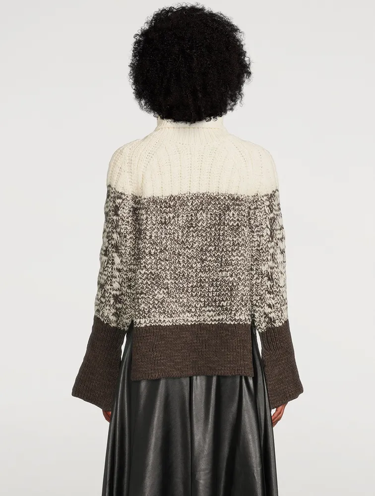 Colourblock Wool Turtleneck Sweater