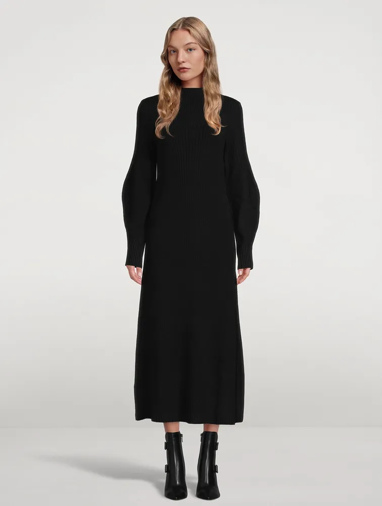 Tesoro Wool And Cashmere Sweater Dress