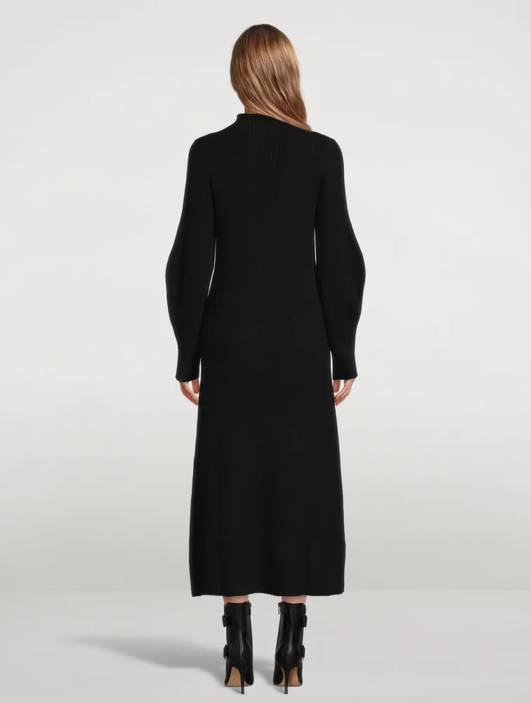 Tesoro Wool And Cashmere Sweater Dress