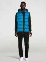 Orwell Quilted Down Vest With Hood