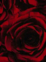 Chiala Velvet Turtleneck Rose Print