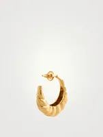 24K Gold Vermeil Nautilus Shell Hoop Earrings