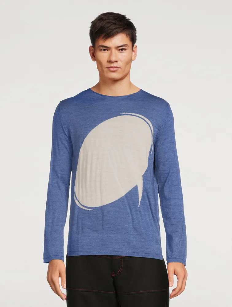 Wool Knit Sweater