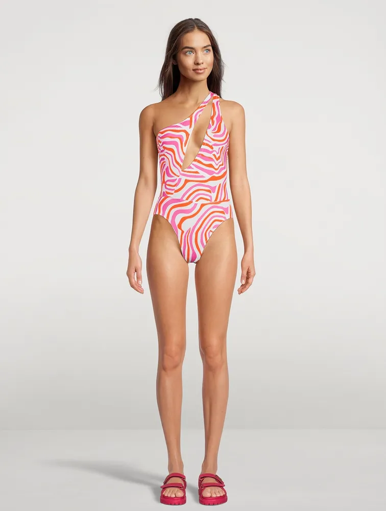 The Issi Cut-Out One-Piece Swimsuit In Abstract Zebra Print