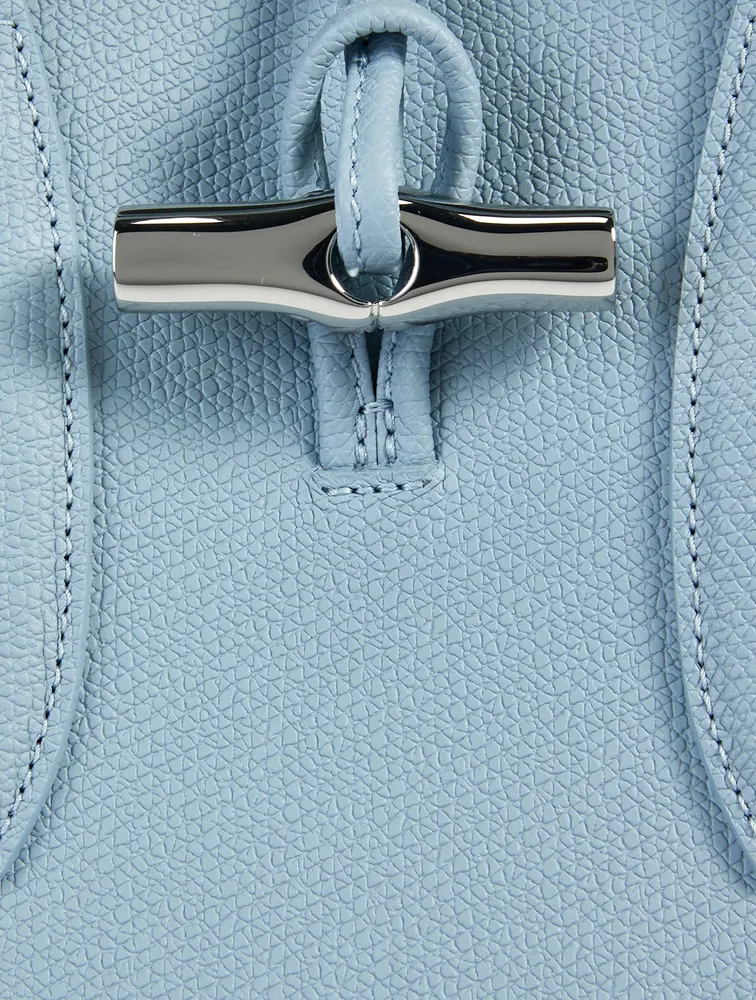Medium Roseau Leather Top Handle Bag