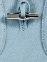 Medium Roseau Leather Top Handle Bag