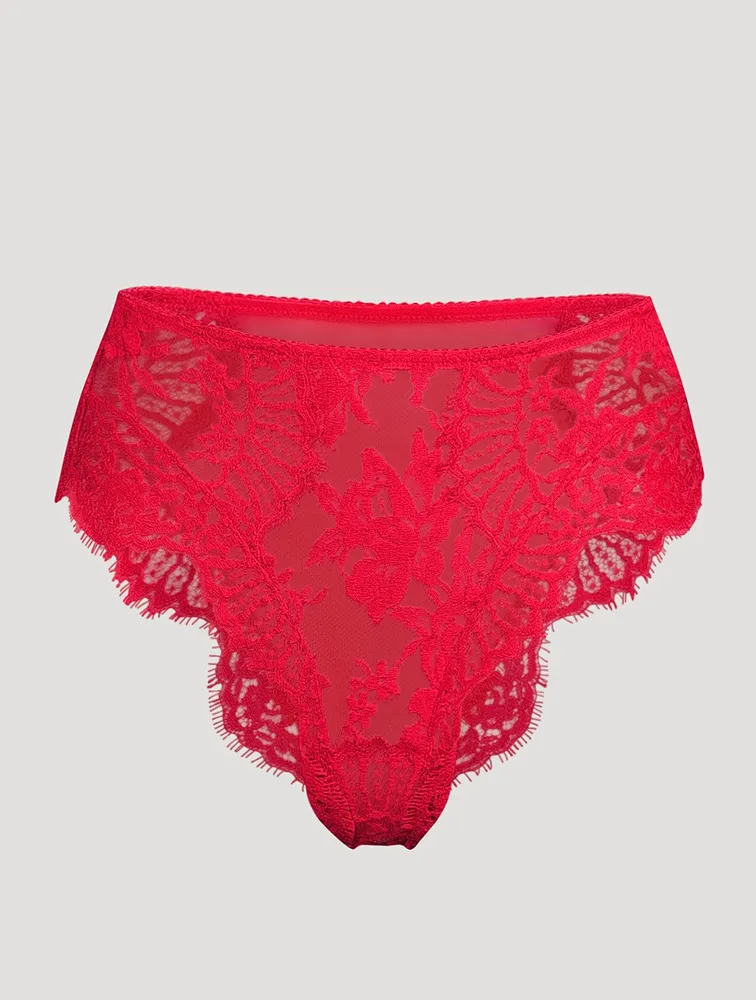 Lace Tulle Briefs