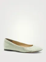 Toy Embellished Suede Ballet Flats