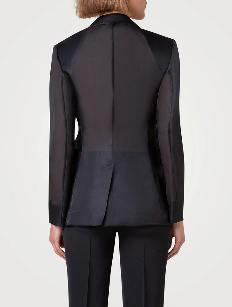 Taddeo Single-Breasted Silk Blazer