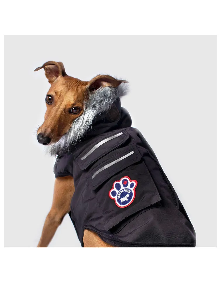 Everest Explorer Dog Vest