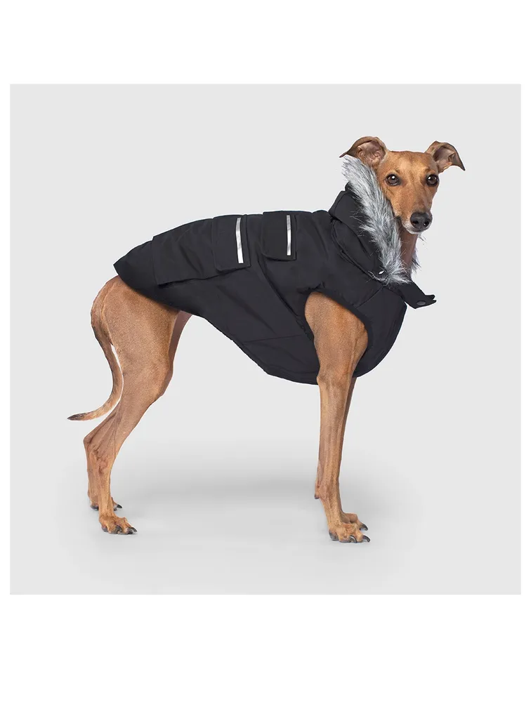 Everest Explorer Dog Vest