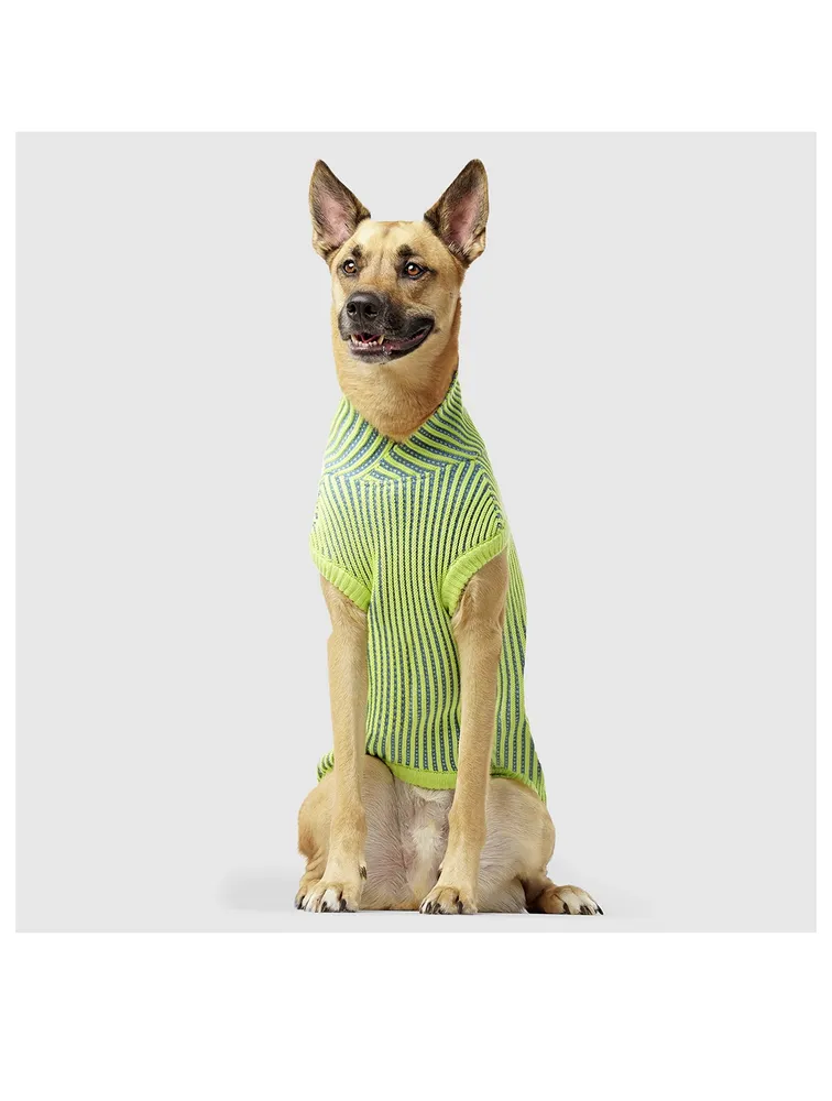 Icon Dog Sweater