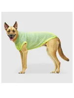 Icon Dog Sweater