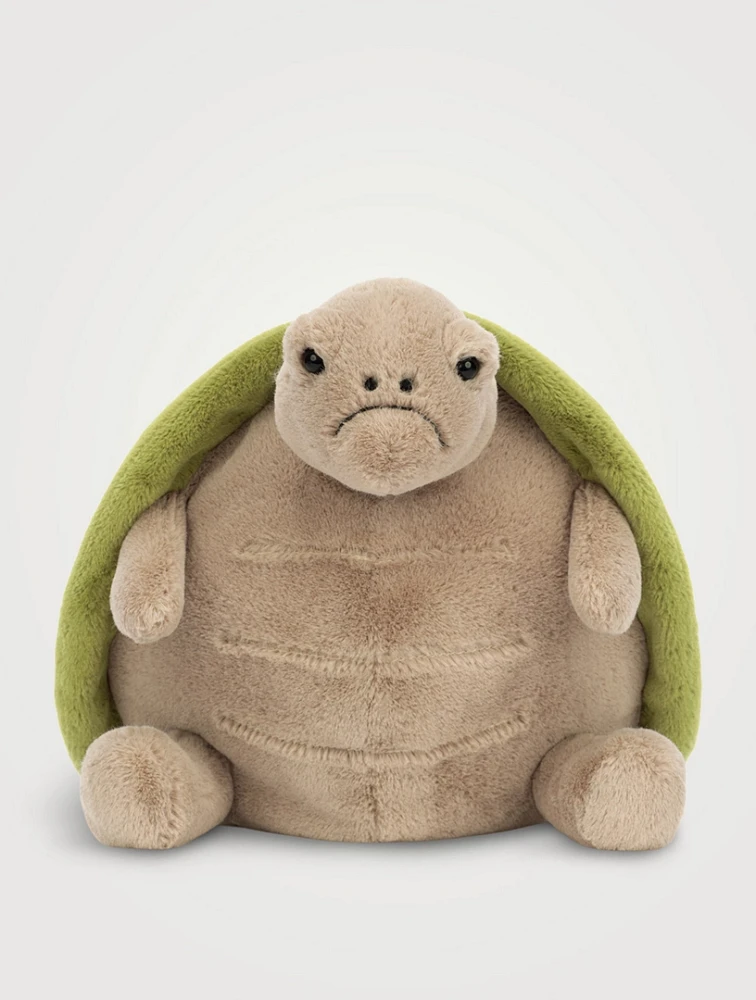 Timmy Turtle Plush Toy