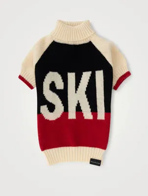 Ski Raglan Dog Sweater