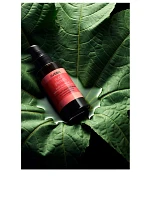 Nutriplenish™ Multi-Use Hair Oil