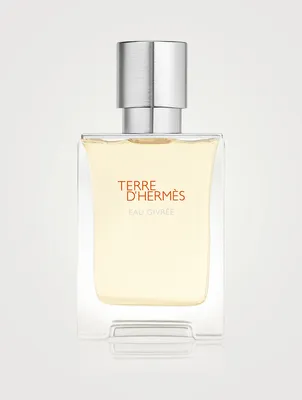 Terre d’Hermès Eau Givrée Eau de Parfum