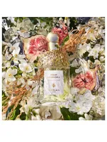 Aqua Allegoria Nerolia Vetiver Eau de Toilette