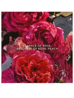 Aqua Allegoria Forte Rosa Rossa Eau de Parfum