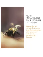 Abeille Royale Mattifying Day Cream