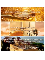 Abeille Royale Double R Advanced Serum Age-Defying Set
