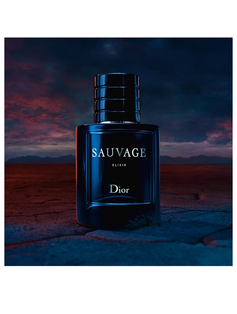 Sauvage Elixir