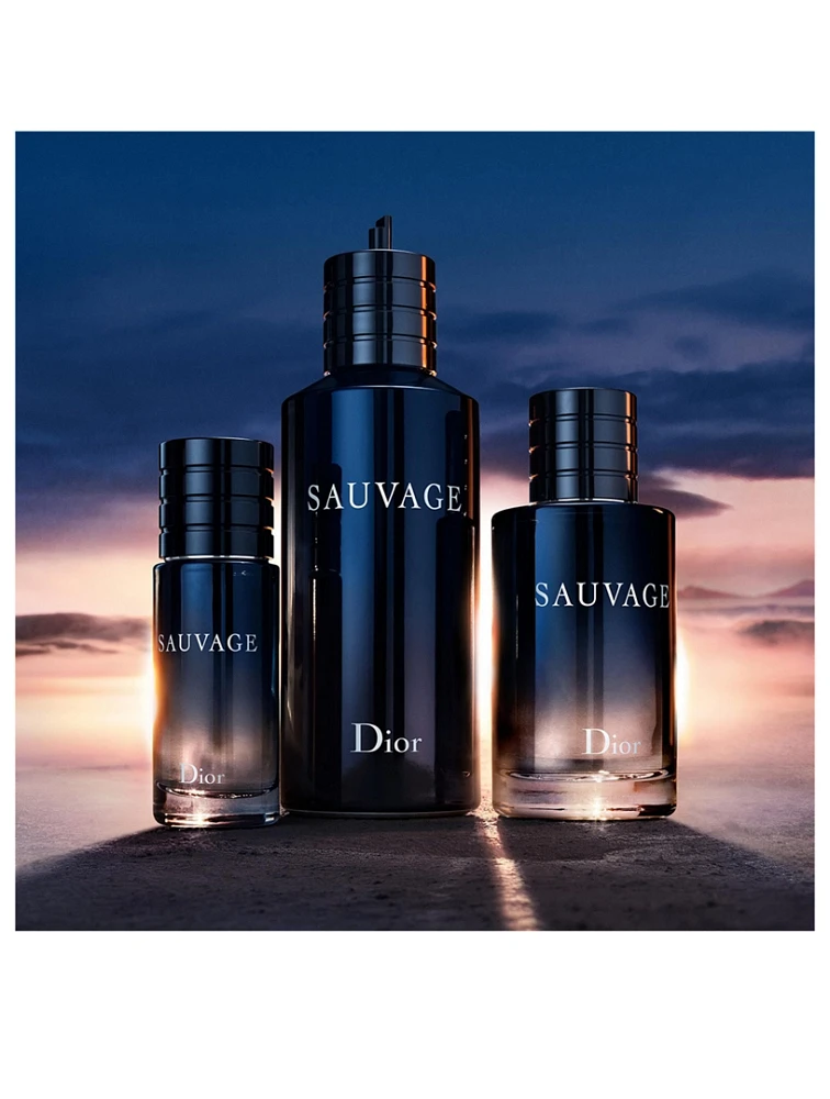 Sauvage Elixir