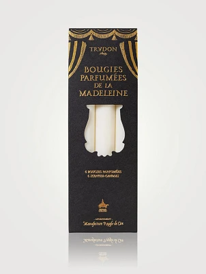 Fir Taper Candles
